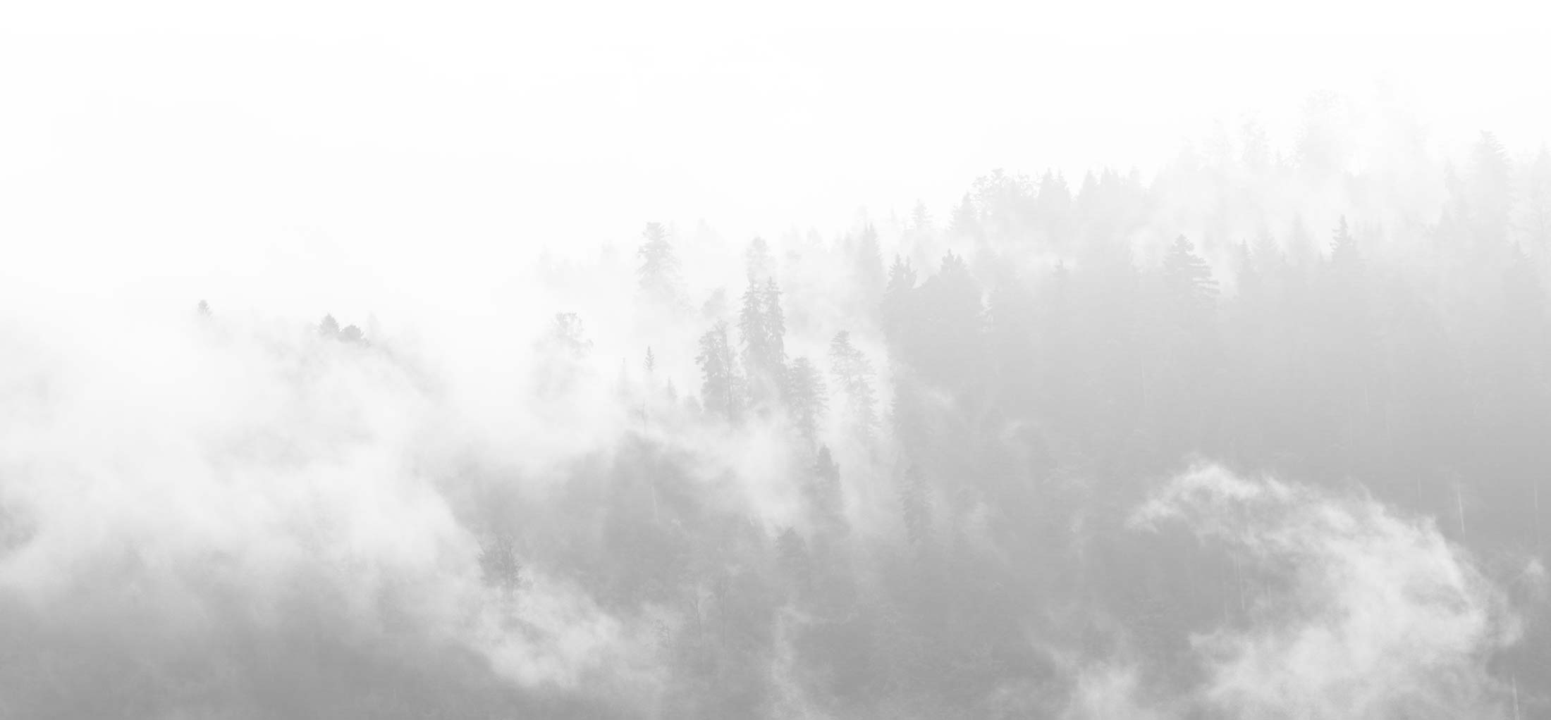 cta-bg-03 | Divi Pixel