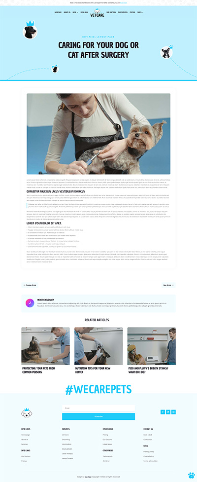 Creative Layout Pack Single Post Page