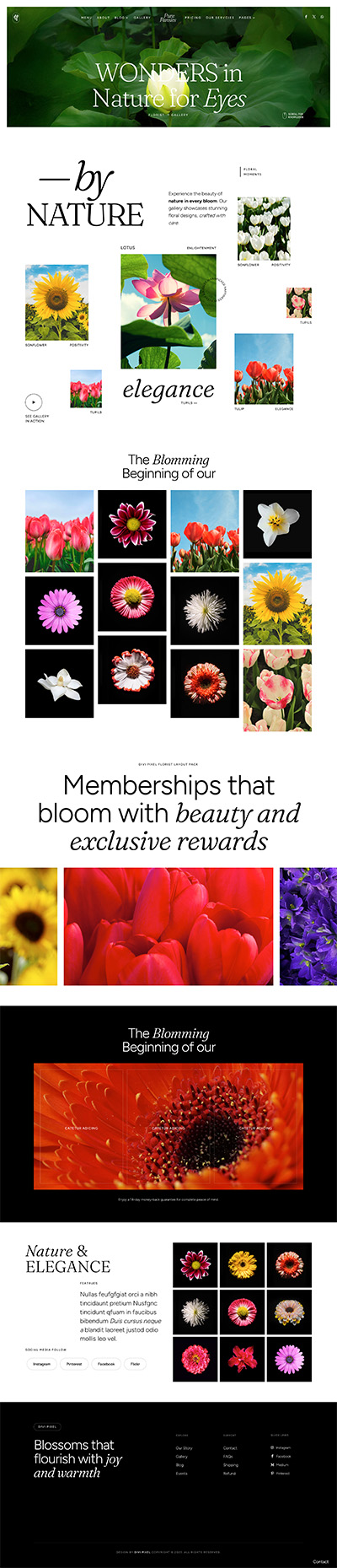 Florist Layout Pack Gallery Page